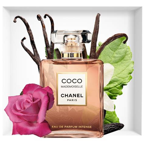 chanel coco mademoiselle intense opinie|coco chanel mademoiselle intense notes.